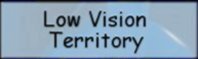 low-vision.us Logo